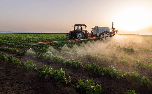 Best Pest Control for Businesses  in Seco Mines, TX