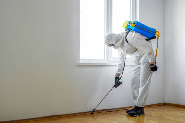 Best Rat Extermination Near Me  in Seco Mines, TX