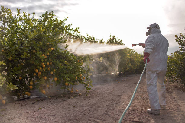  Seco Mines, TX Pest Control Pros