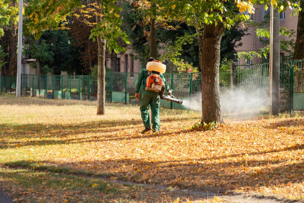 Best Wildlife Control Services  in Seco Mines, TX