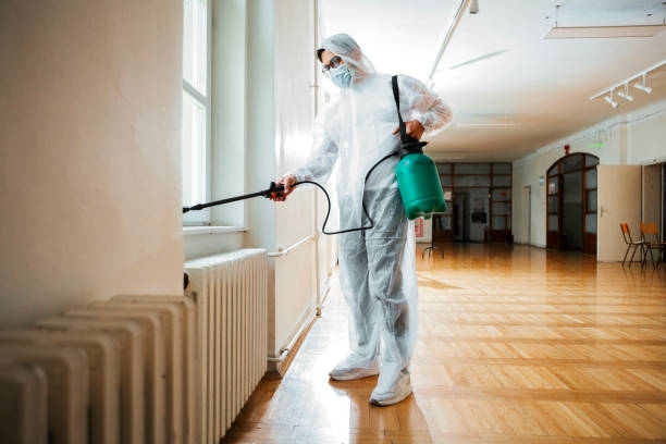 Best Affordable Pest Control Services  in Seco Mines, TX
